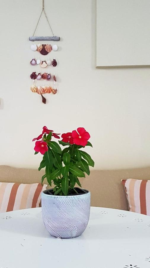 Fyllou Apartment アスプロヴァルタ エクステリア 写真